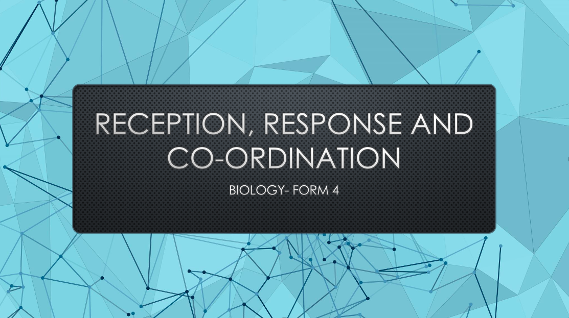 RECEPTION, RESPONSE AND CO-ORDINATION